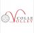logo COLLEVOLLEY